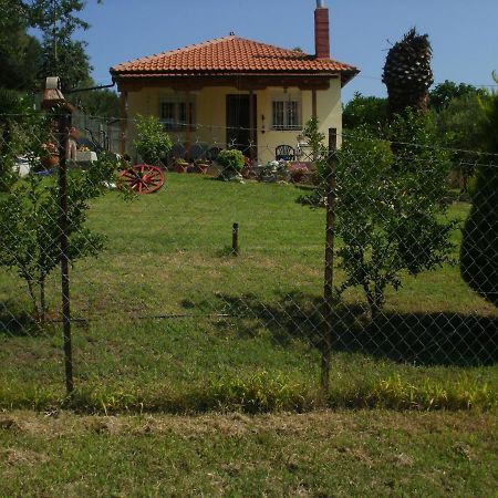 네아 로다 Xerxis Hill/Chalkidiki Τρυπητή Χαλκιδικής 빌라 외부 사진